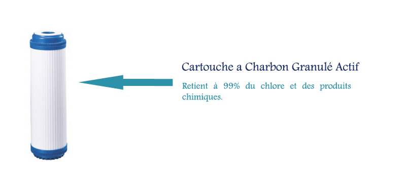 description--Cartouche-a-Charbon-Granule-Actif