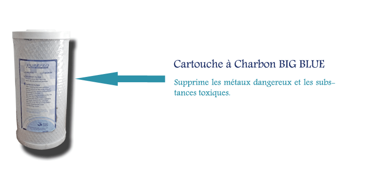 description-Cartouche-a-Charbon-BIG-BLUE