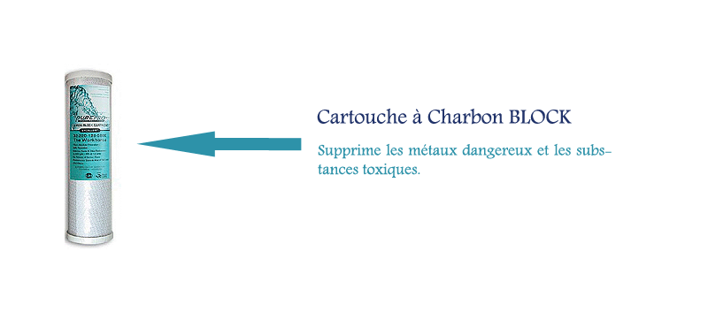 description-Cartouche-a-Charbon-BLOCK